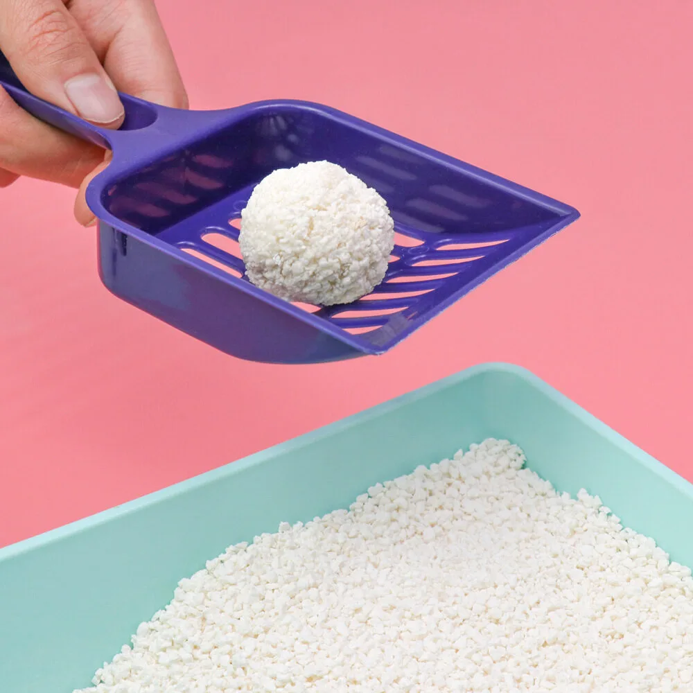 Cassava cat litter manufacturer